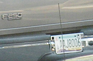 illegal1